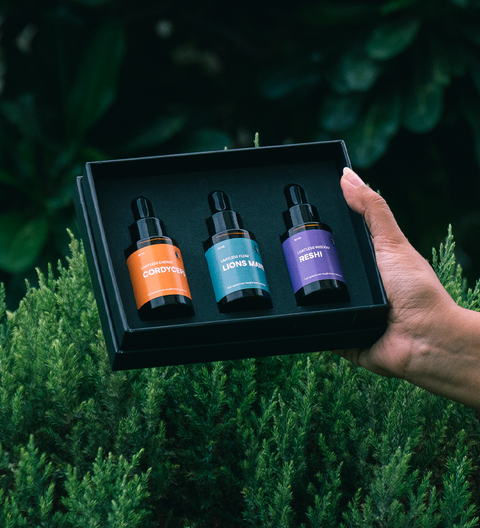Top 5 Best Natural Supplements to Boost Your Energy (From a Martial Artist Who Tried Everything)