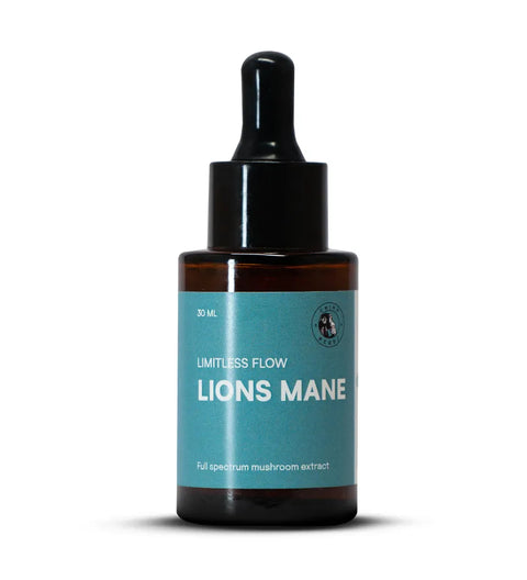 Lion's Mane - Mental Energy