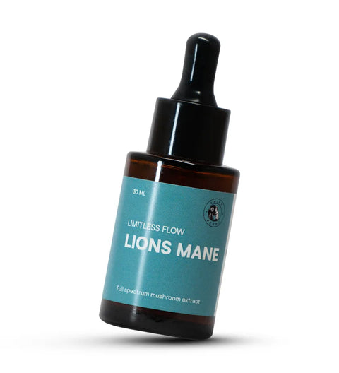 Lion's Mane - Mental Energy